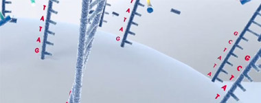 gene synthesis