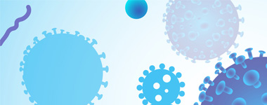 lentivirus packaging