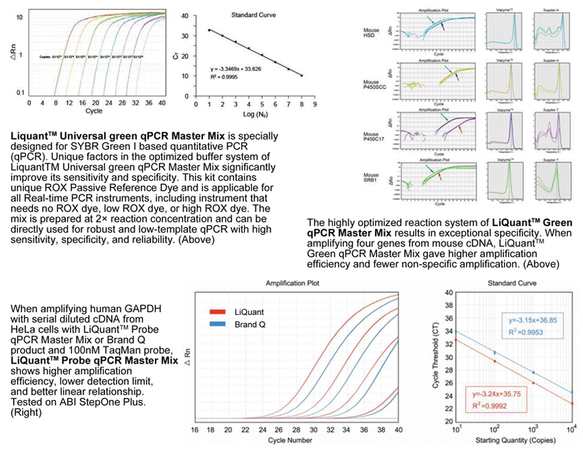qPCR Master Mixes